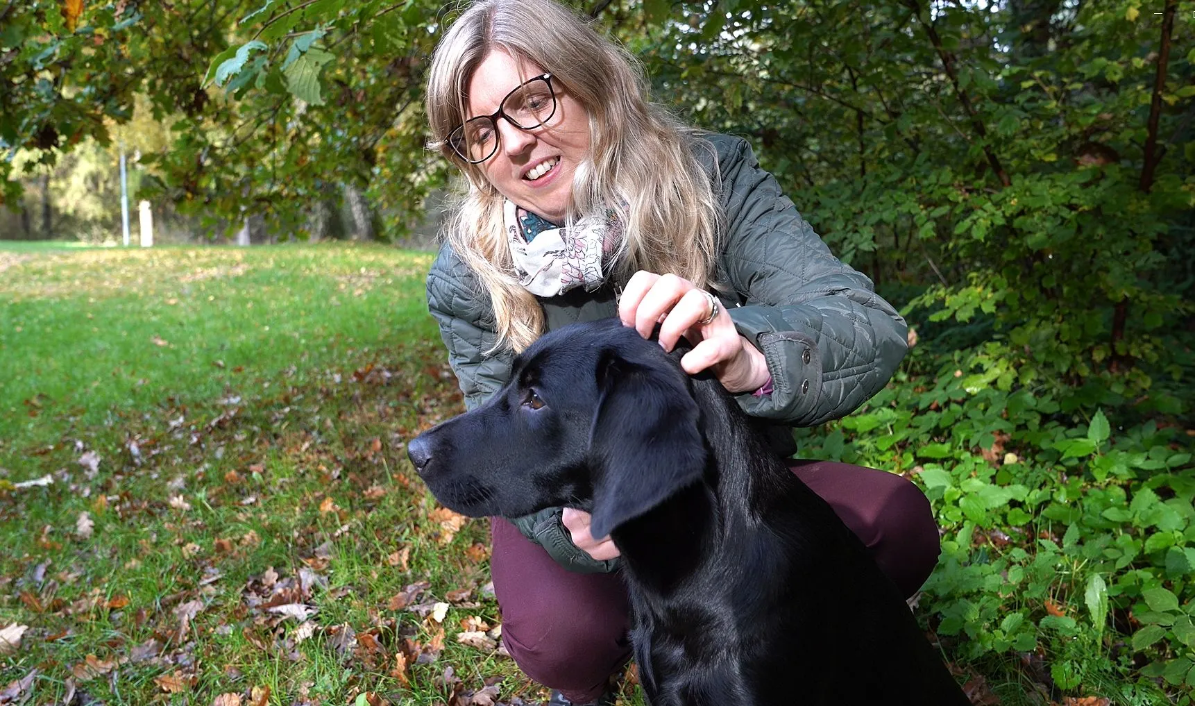 Svelands Lilla Forsakringsskola huvudbild