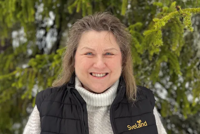 Irene Ellström Ombud