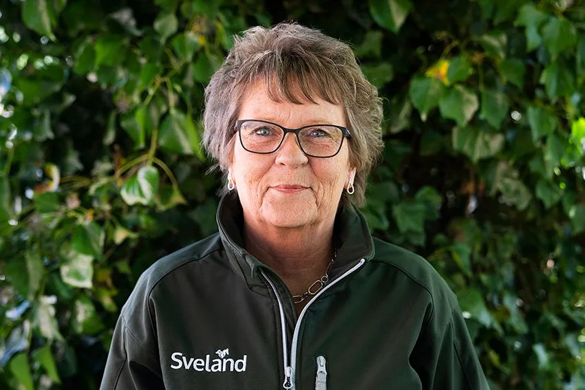 Lena Petterson Ombud