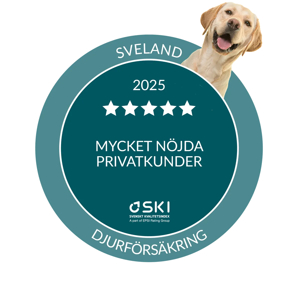 Startsida SKI Sveland