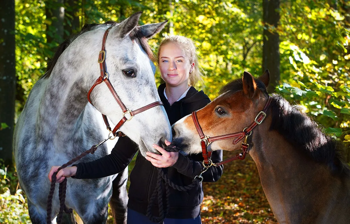 Två hästar Vi äger